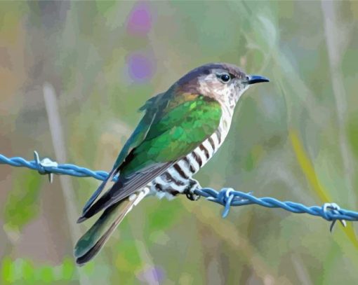 Shining Bronze Cuckoo Paint By Numbers