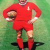 Steve Heighway Footballer Paint By Numbers