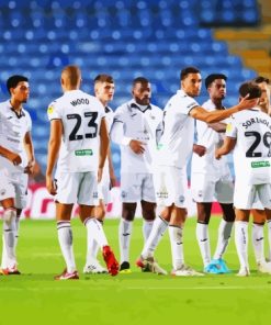 Swansea City Team Paint By Numbers