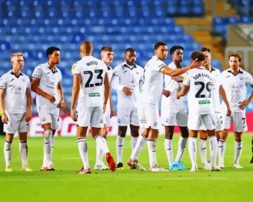 Swansea City Team Paint By Numbers