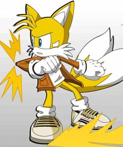 Tails The Hedgehog Character Paint By Numbers