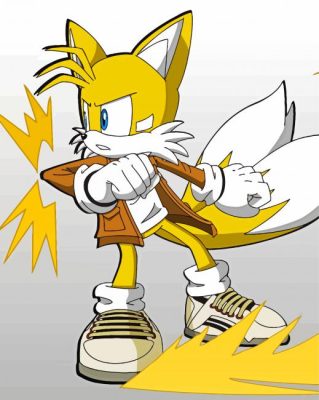 Tails The Hedgehog Character Paint By Numbers