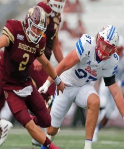 Texas State Bobcats VS Dallas Team Paint By Numbers