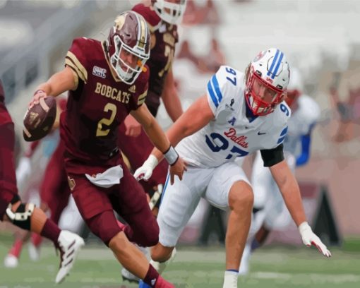 Texas State Bobcats VS Dallas Team Paint By Numbers