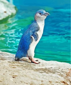 The Australian Fairy Penguin Bird Paint By Numbers