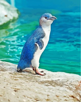 The Australian Fairy Penguin Bird Paint By Numbers