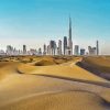 The Dubai Desert Paint By Numbers