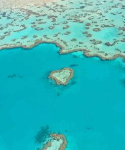 The Great Barrier Reef Paint By Numbers