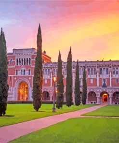 The Rice University Paint By Numbers