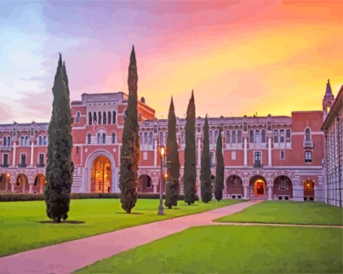 The Rice University Paint By Numbers