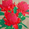 Waratah Plants Paint By Numbers