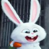 White Cartoon Rabbit Paint By Numbers