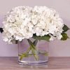 White Hydrangeas Plants In Glass Vase Paint By Numbers