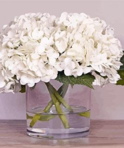 White Hydrangeas Plants In Glass Vase Paint By Numbers