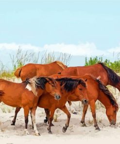 Wild Horses Assateague Island Paint By Numbers