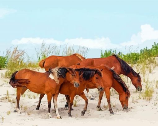 Wild Horses Assateague Island Paint By Numbers