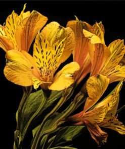 Yellow Alstroemeria Bloom Paint By Numbers