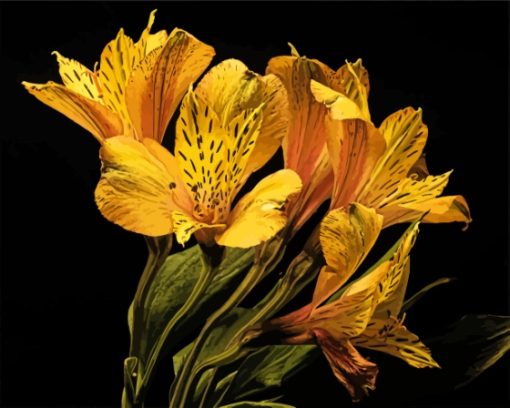 Yellow Alstroemeria Bloom Paint By Numbers