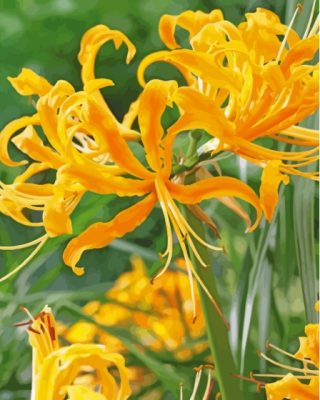 Yellow Nerine Plants Paint By Numbers