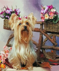 Yorkshire Terrier Dog And Flowers Paint By Numbers