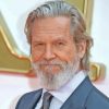 Actor Jeff Bridges Paint By Numbers