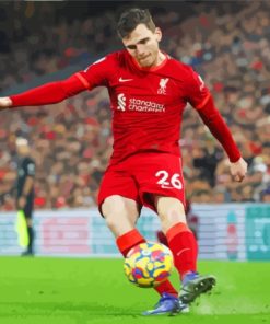 Aesthetic Andrew Robertson Paint By Numbers