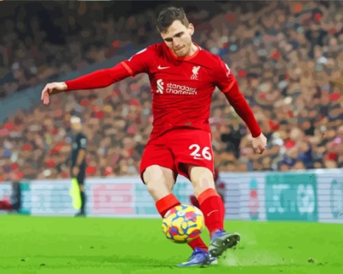 Aesthetic Andrew Robertson Paint By Numbers