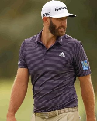 Aesthetic Dustin Johnson Paint By Numbers