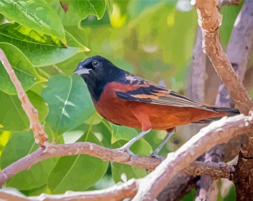 Aesthetic Orchard Oriole Paint By Numbers