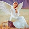 Angel Wings Paint By Numbers