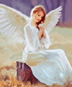 Angel Wings Paint By Numbers