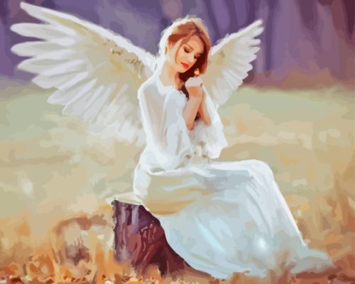 Angel Wings Paint By Numbers