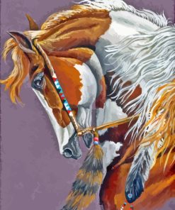 Beautiful American Indian War Pony Paint By Numbers