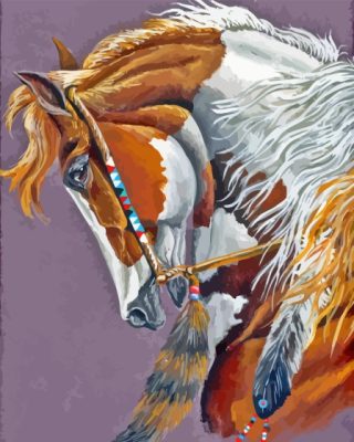 Beautiful American Indian War Pony Paint By Numbers