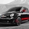 Black Abarth Paint By Numbers