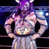 Black Taurus Mexican Wrestler Paint By Numbers