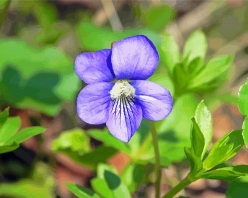 Blue Violet Flower Paint By Numbers