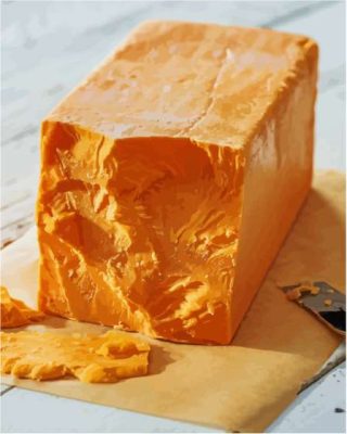 Cheese Cheddar Paint By Numbers