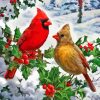 Christmas Cardinals Couple Paint By Numbers