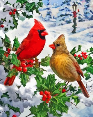 Christmas Cardinals Couple Paint By Numbers