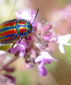 Colorful Christmas Beetle Paint By Numbers