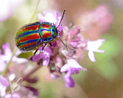 Colorful Christmas Beetle Paint By Numbers