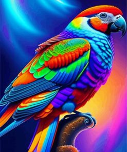 Colorful Parrot Paint By Numbers