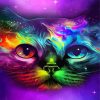 Colroful Galaxy Cat Paint By Numbers