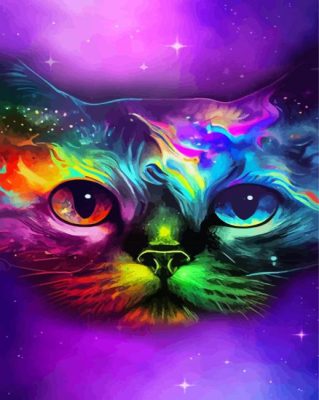 Colroful Galaxy Cat Paint By Numbers