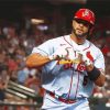 Cool Albert Pujols Paint By Numbers