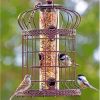 Cool Bird Feeder Paint By Numbers