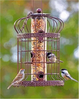 Cool Bird Feeder Paint By Numbers