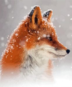 Cool Fox Snow Paint By Numbers