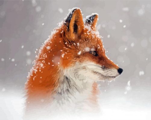 Cool Fox Snow Paint By Numbers